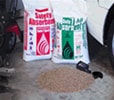 Universal Absorbent Clay